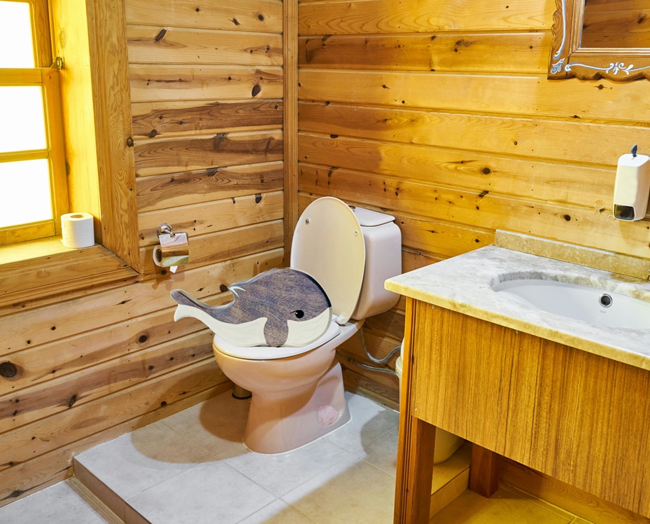 a sperm whale on a toilet