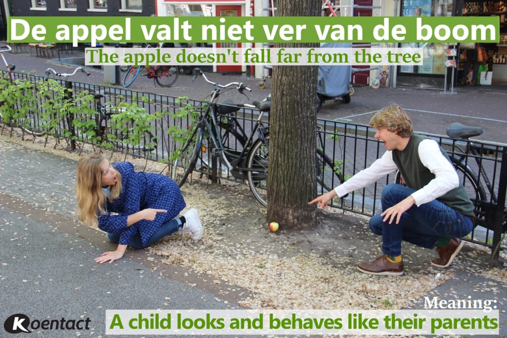 Dutch saying about apples: De appel valt niet ver van de boom